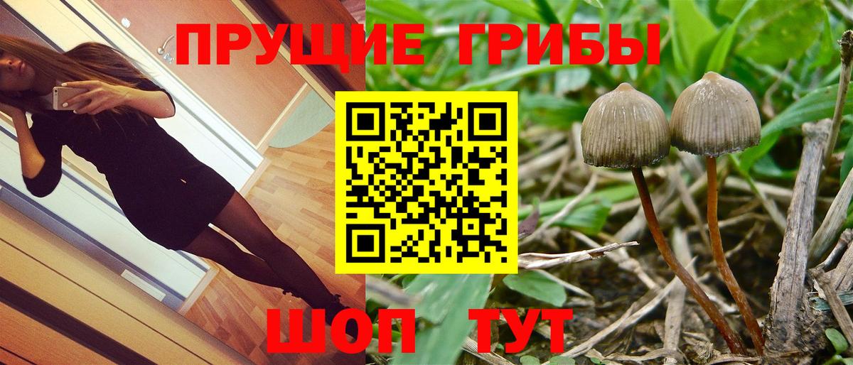 Галлюциногенные грибы ЛСД  Вход с VPN  Северодвинск  Псилоцибиновые грибы Psilocybe 